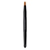 CLIO PROFESSIONAL Pro Play Lip Dual Brush 400