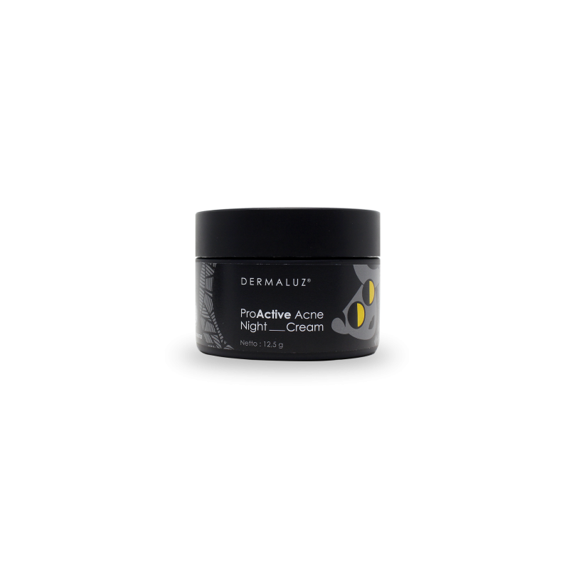 DERMALUZ ProActive Acne Night Cream